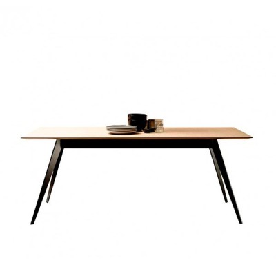 Aise Metallic rectangular Table - Treku