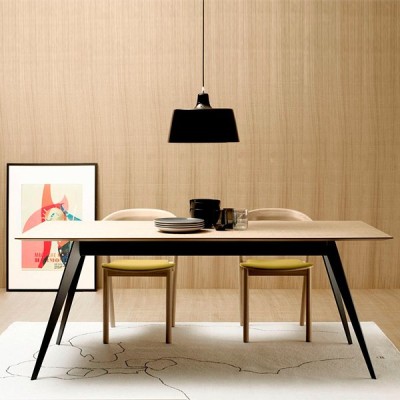 Aise Metallic rectangular Table - Treku