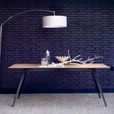 Aise Metallic rectangular Table - Treku