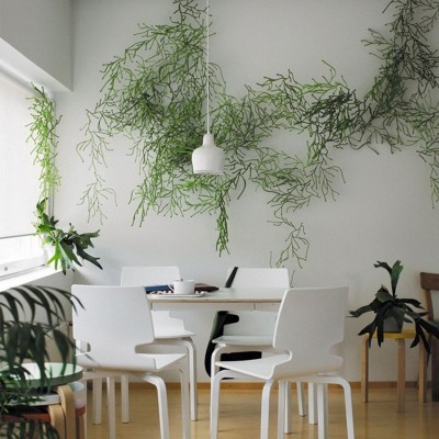 Algues - VItra Algues - VItra