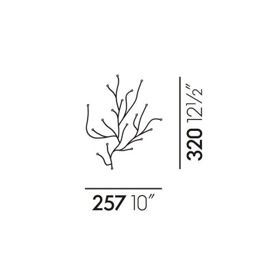 Algues - VItra Algues - VItra