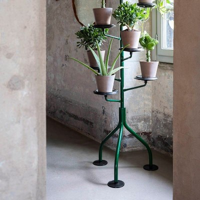 Albero Zanotta Albero Zanotta