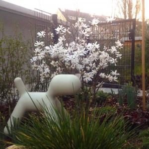 Puppy mediano blanco en jardin Magis Me Too