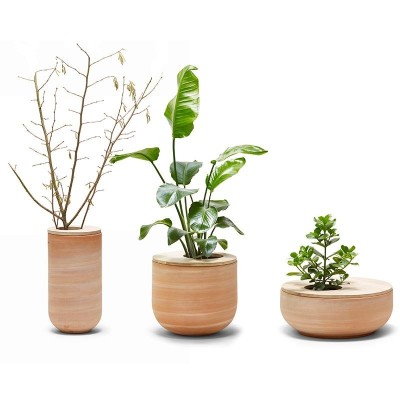 Maceteros Lur colección Alki con planta
